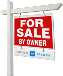 Why Fizber